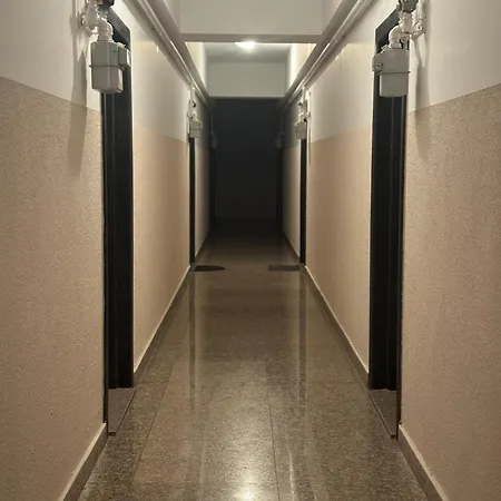 Dreamland Summerland *