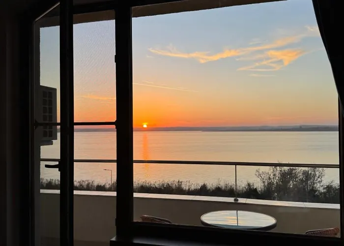 Dreamland Summerland