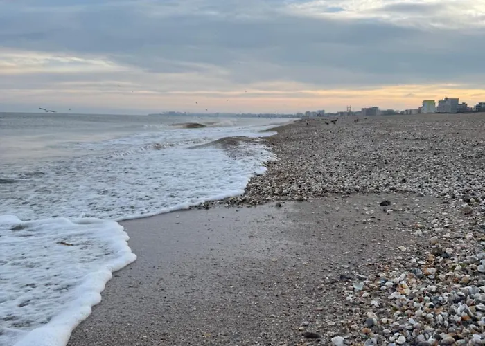 Dreamland Summerland *