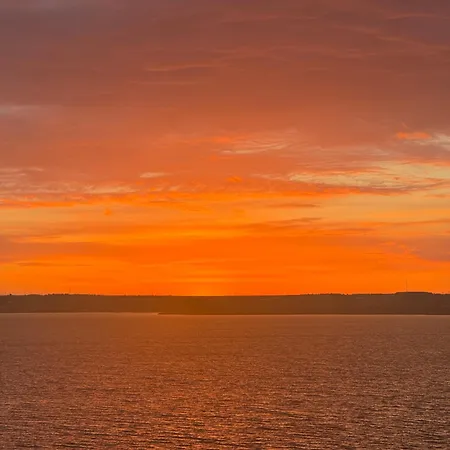 Dreamland Summerland