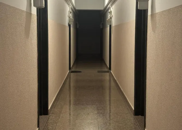 Dreamland Summerland *